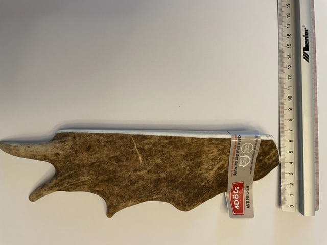 Daino larghezza XXL 4-7cm.jpg