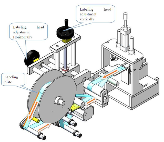 Etichettatura head.jpg
