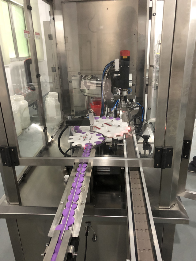 immagini laterali per capper.JPG